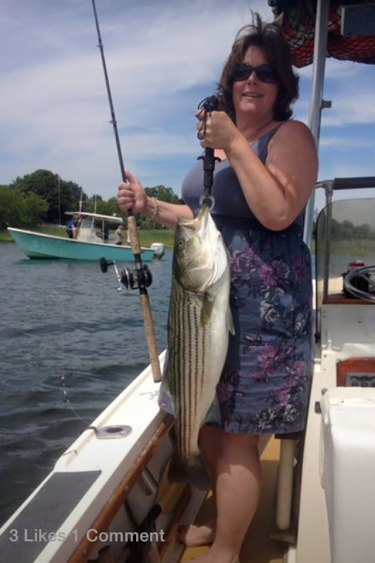 Merrimack river striper